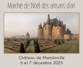 chateau de Martainville